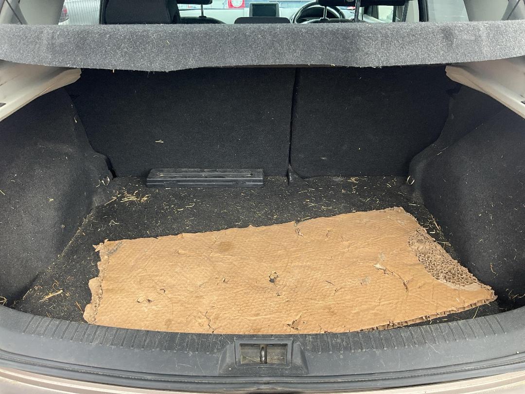 Photo '6' of Nissan Dualis