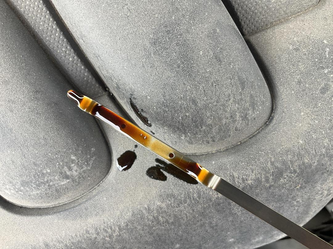 Photo '9' of Nissan Dualis