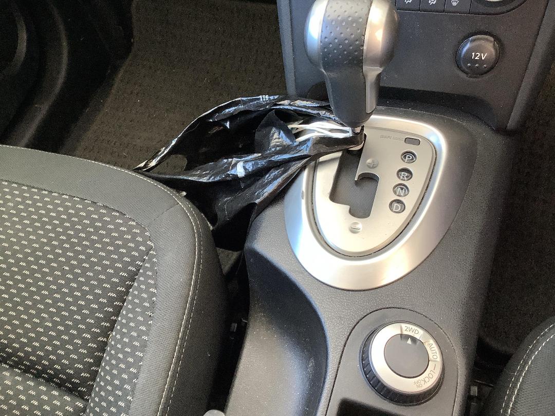 Photo '14' of Nissan Dualis