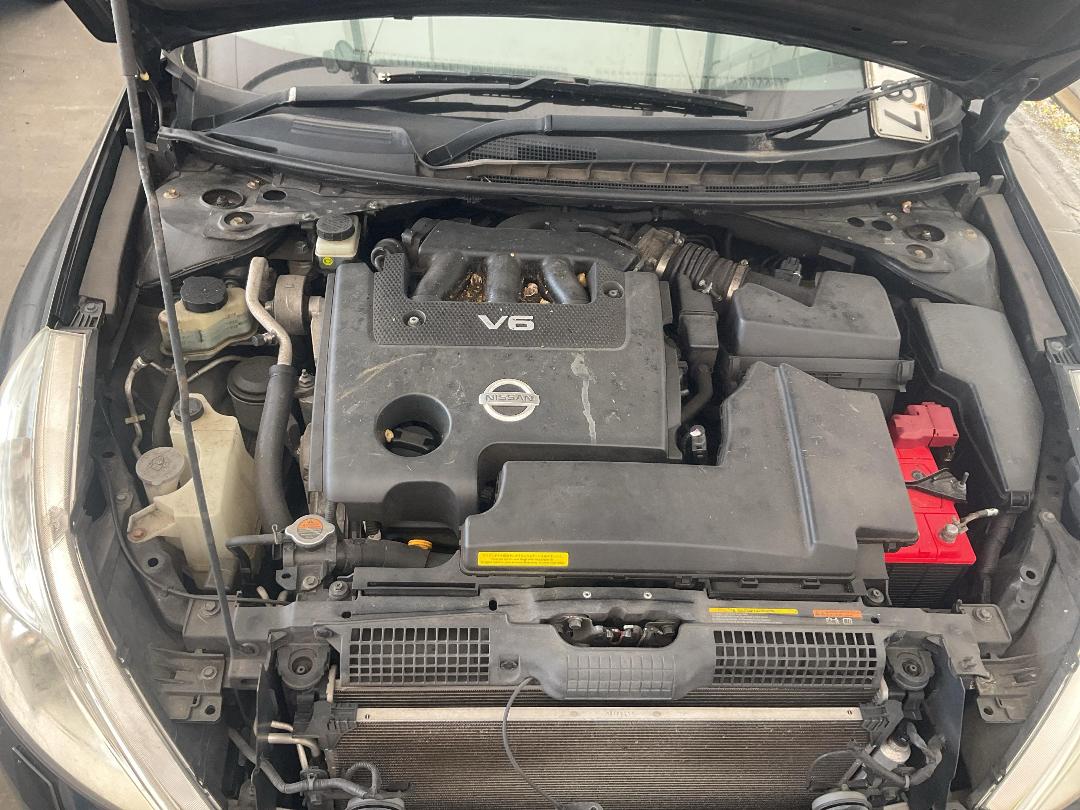 Photo '19' of Nissan Maxima 350L