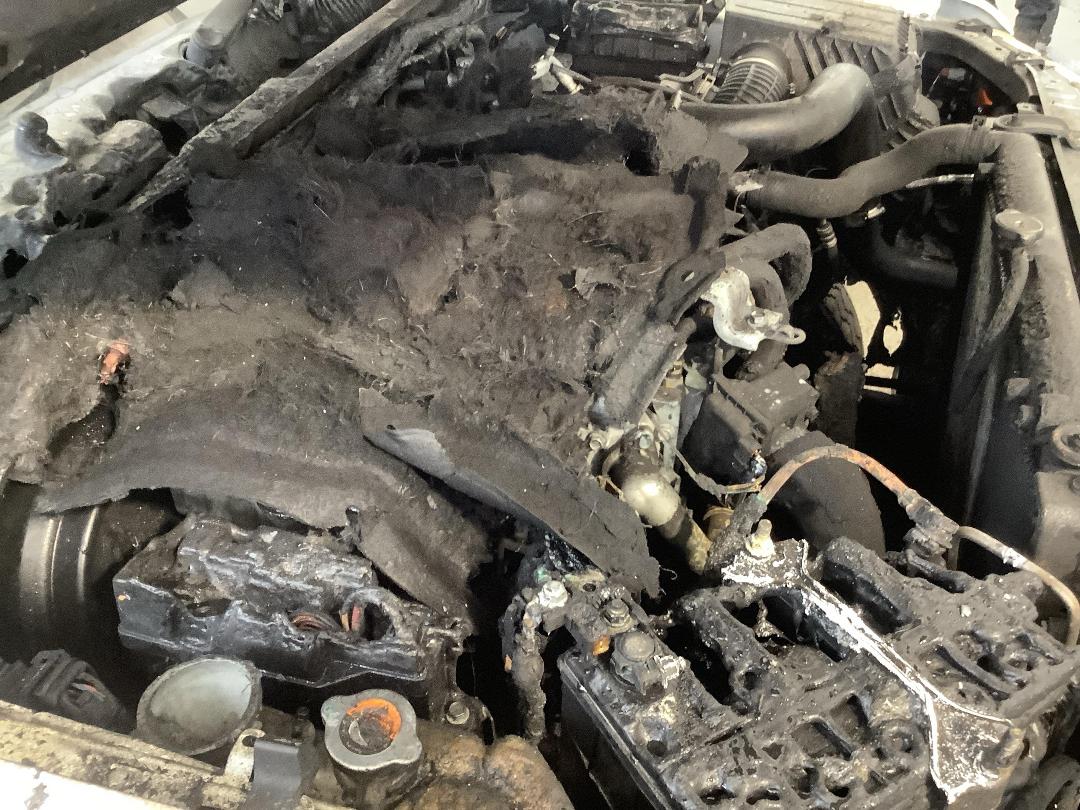 Photo '13' of Nissan Navara D/C ST