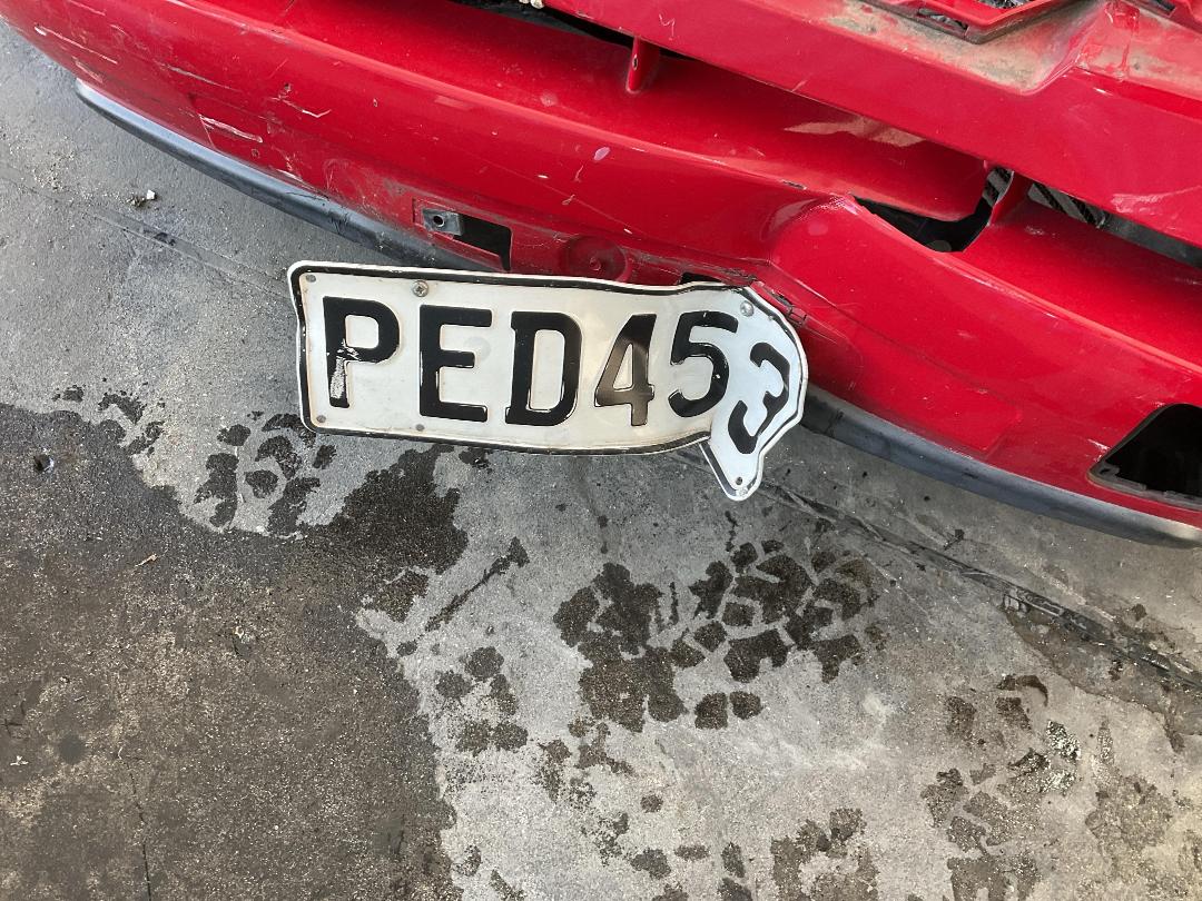 Photo '39' of Nissan X-Trail Photo '39' of Nissan X-Trail