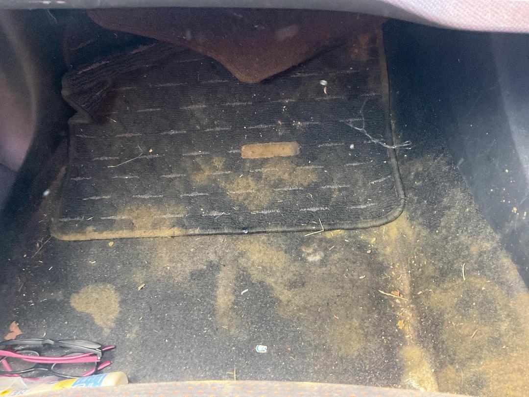 Photo '19' of Toyota Auris