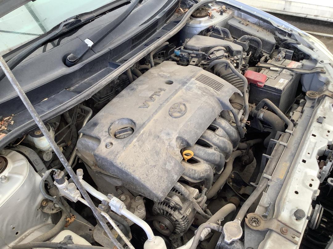 Photo '10' of Toyota Corolla GX Photo '10' of Toyota Corolla GX