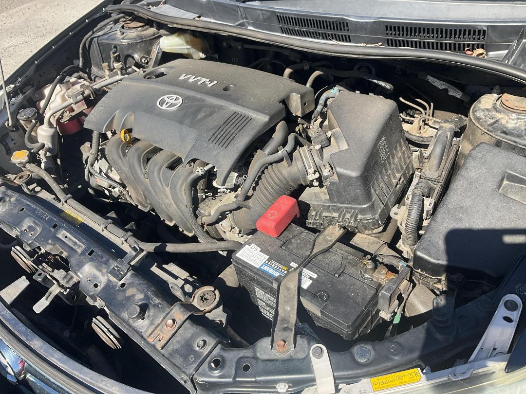 Photo '12' of Toyota Corolla Fielder