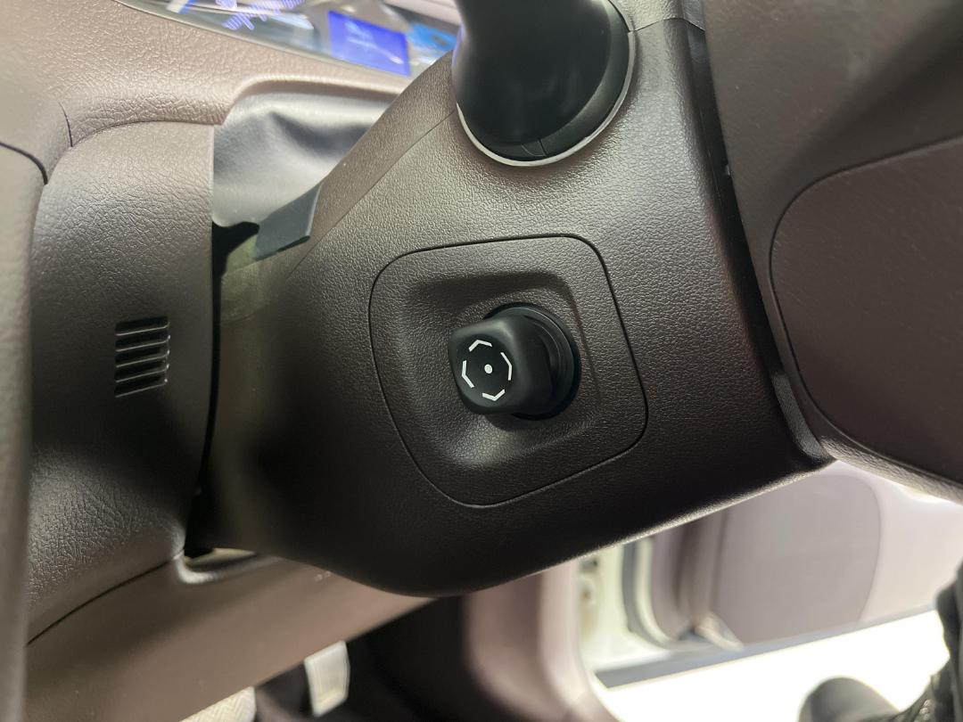 Photo '30' of Toyota SAI