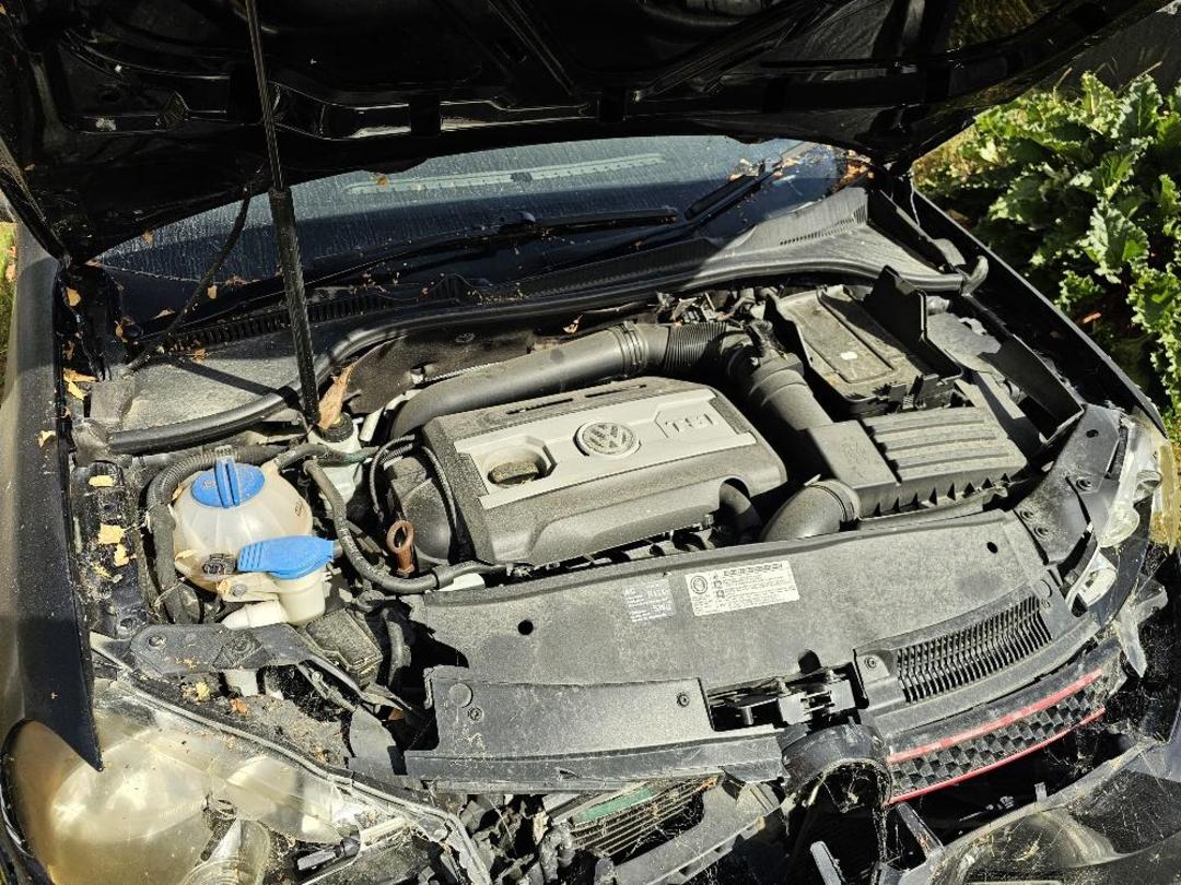 Photo '12' of Volkswagen Golf GTI 155KW