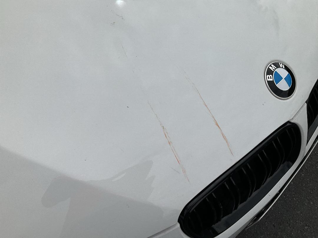 Photo '10' of BMW 330