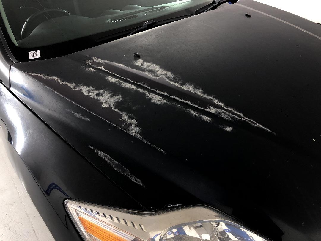 Photo '24' of Ford Mondeo