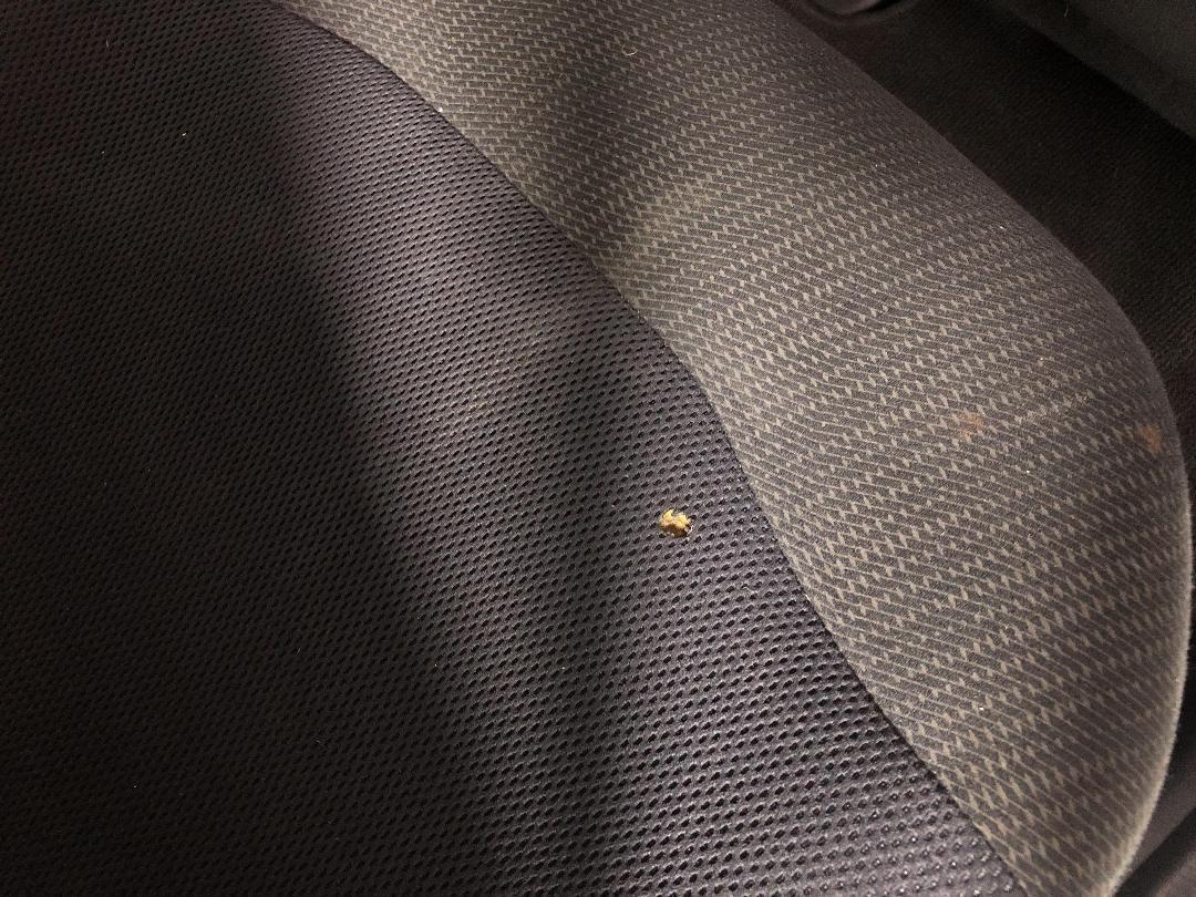 Photo '23' of Honda FIT