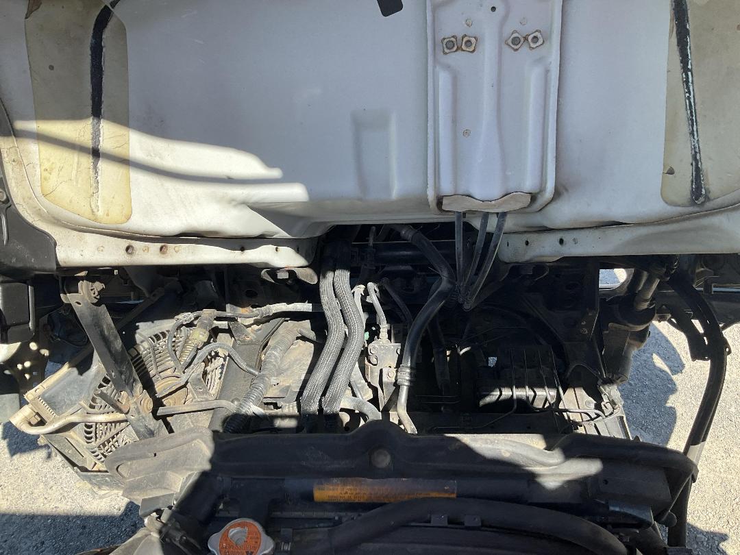 Photo '15' of Isuzu ELF Tipper