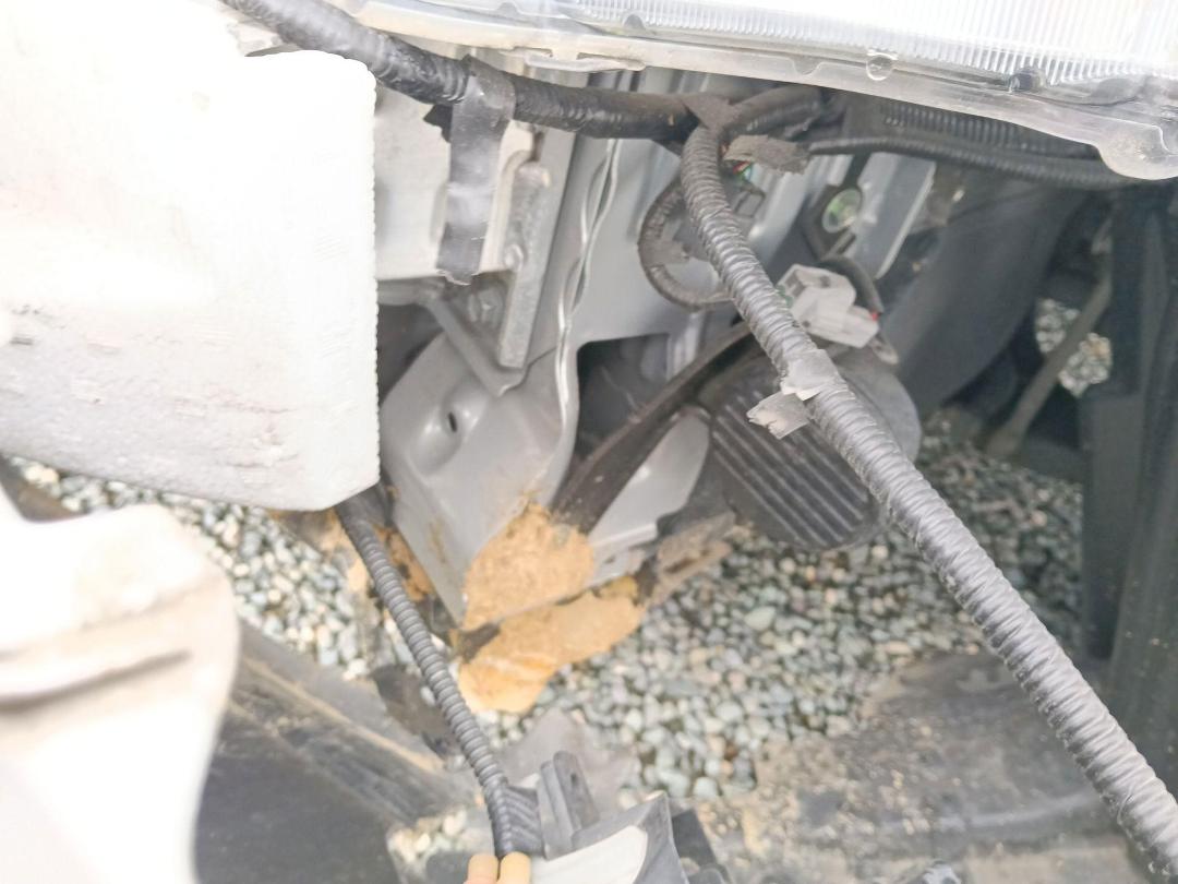 Photo '10' of Lexus CT200H