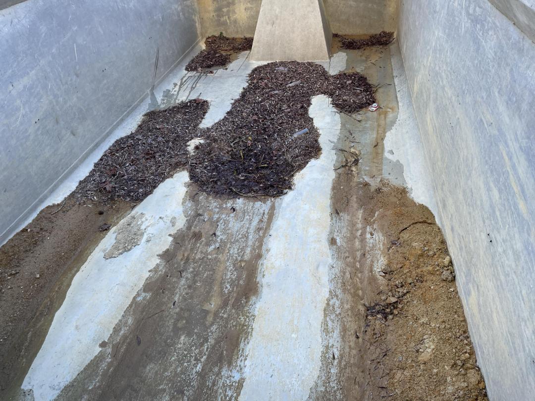 Photo '19' of Mack Granite CMMR 8X4 Tipper