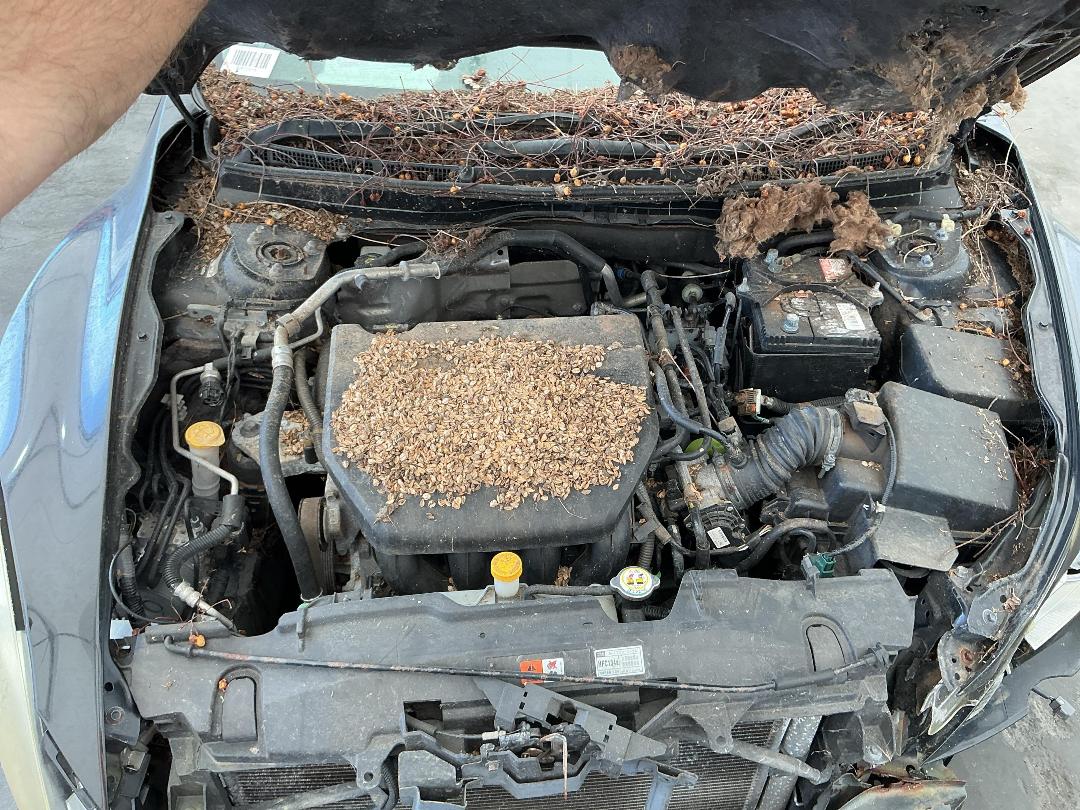 Photo '31' of Mazda Atenza