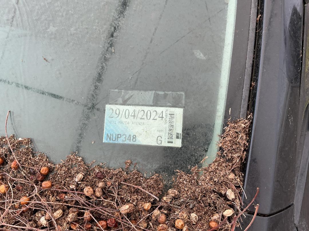 Photo '33' of Mazda Atenza