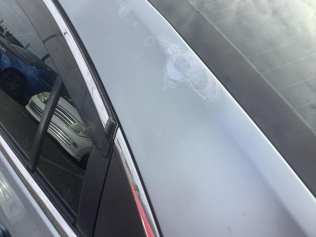 Photo '20' of Mazda Atenza