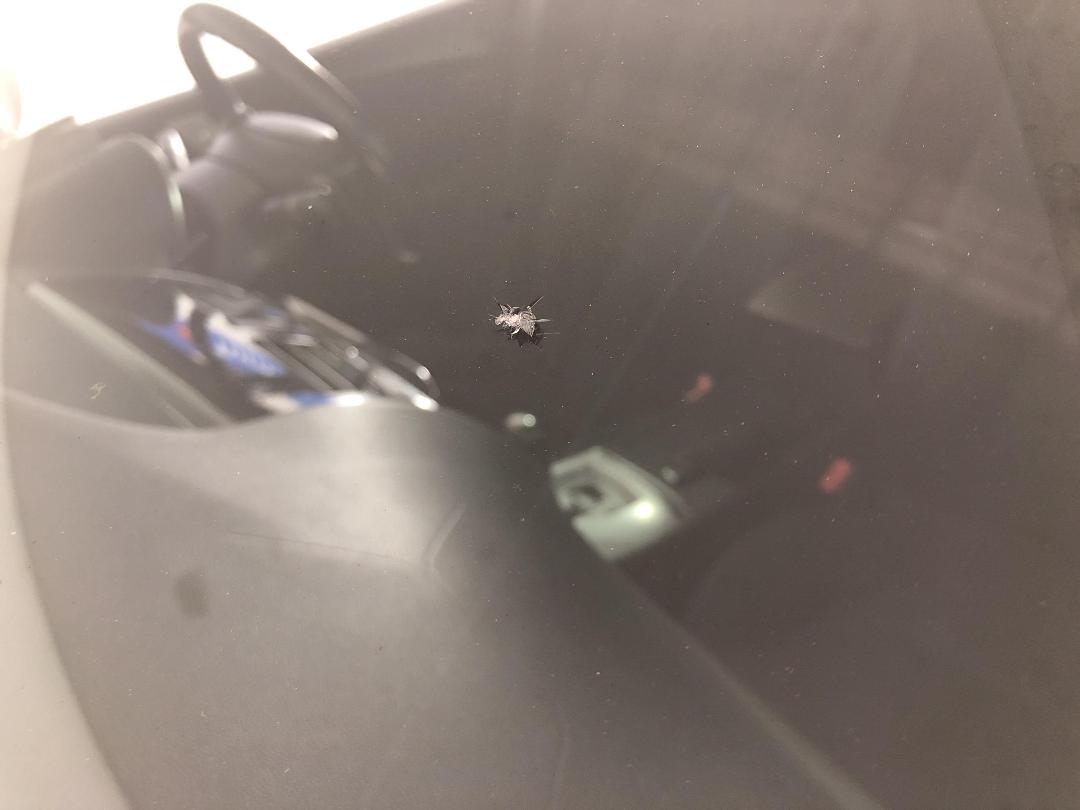 Photo '24' of Mazda Axela