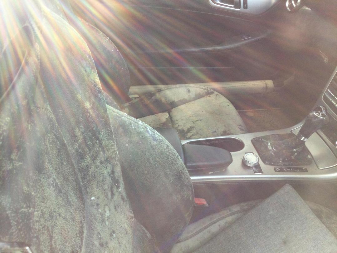 Photo '10' of Mercedes-Benz SLK 250 Photo '10' of Mercedes-Benz SLK 250