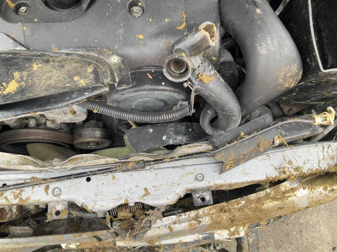 Photo '9' of Mitsubishi Triton D/CAB GL