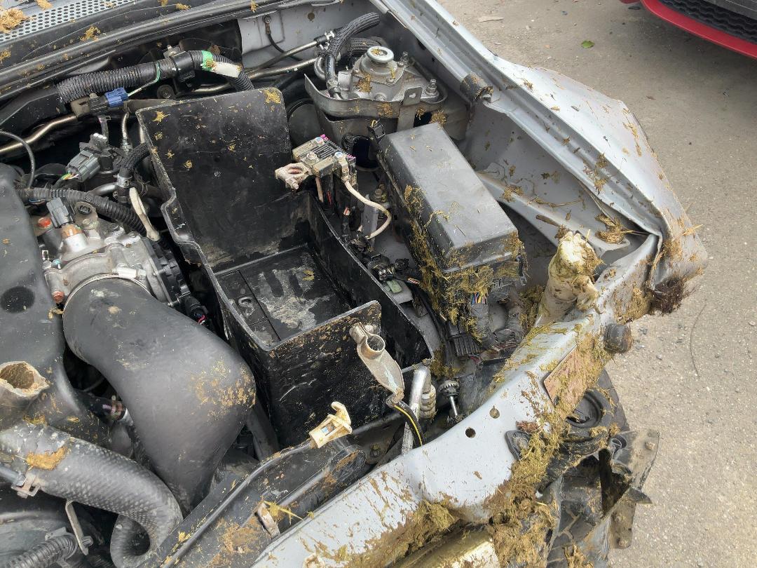 Photo '10' of Mitsubishi Triton D/CAB GL