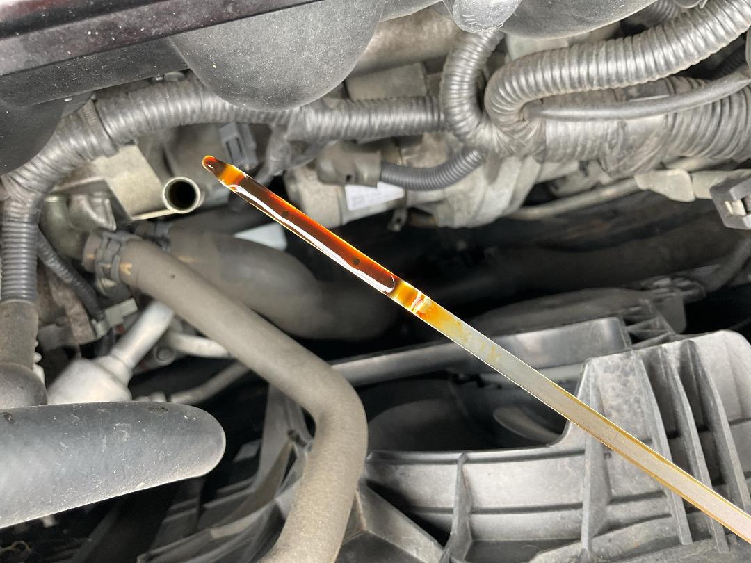 Photo '8' of Nissan Dualis