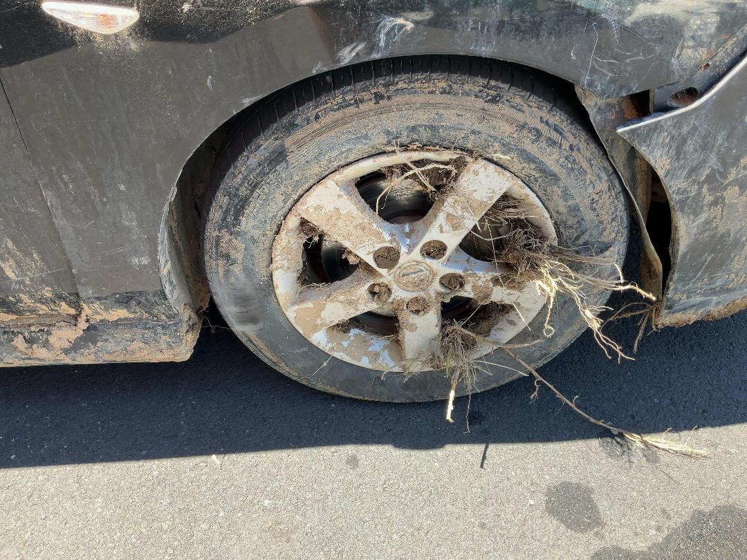 Photo '11' of Nissan Lafesta Highway Star Photo '11' of Nissan Lafesta Highway Star