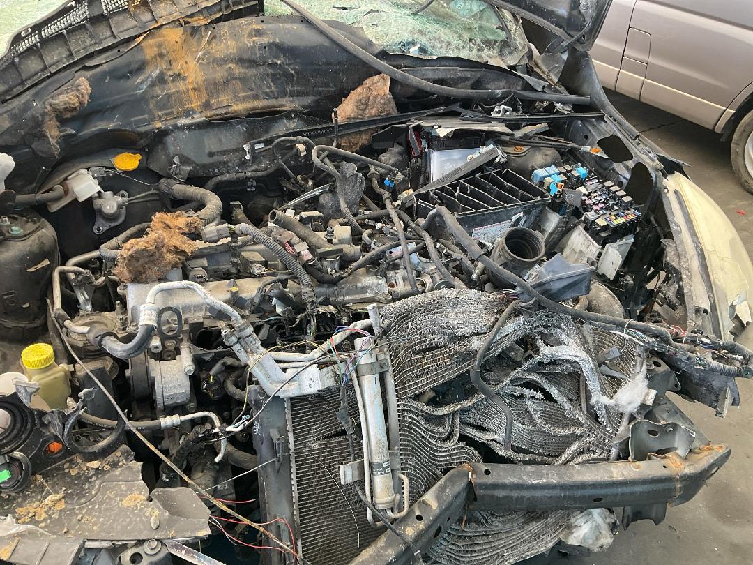 Photo '6' of Nissan Lafesta Photo '6' of Nissan Lafesta