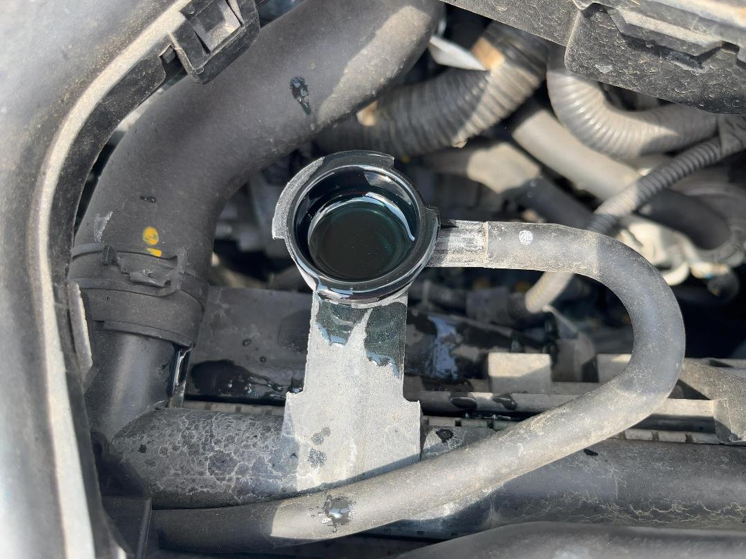 Photo '12' of Nissan Tiida