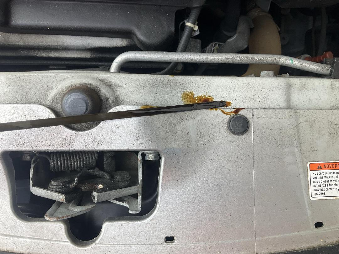 Photo '14' of Suzuki Alto Glxa