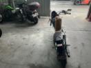 Thumbnail '6' of Suzuki LS650 Boulevard S40 Thumbnail '6' of Suzuki LS650 Boulevard S40