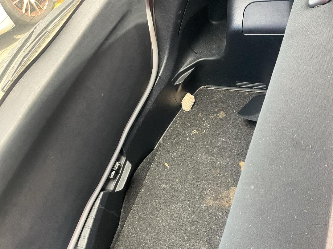 Photo '12' of Toyota Vitz