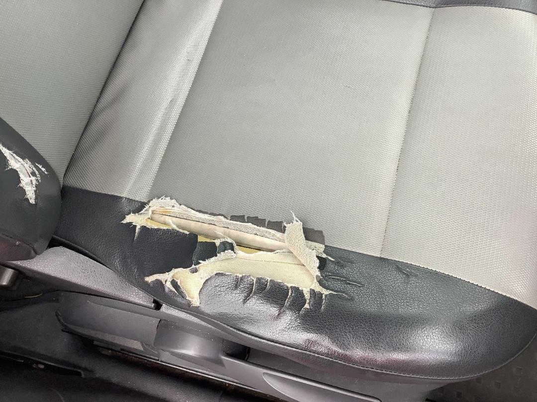 Photo '33' of Volkswagen Caddy Maxi Kombi