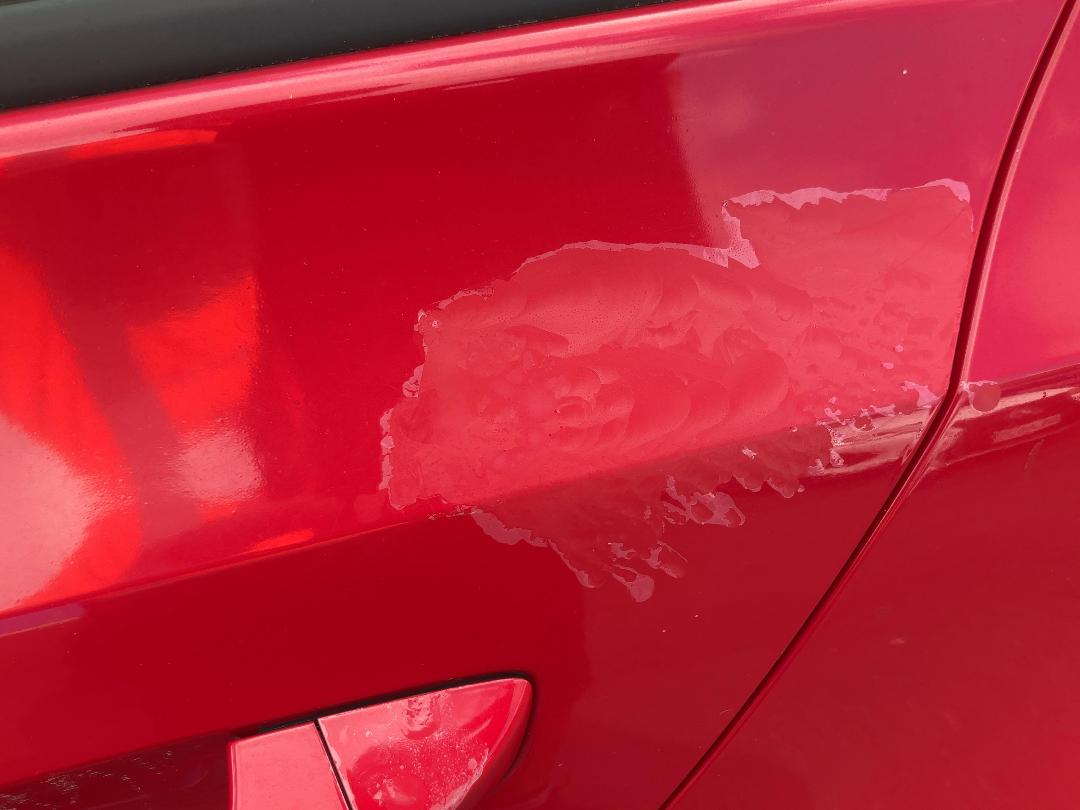 Photo '13' of Volkswagen Golf TS1