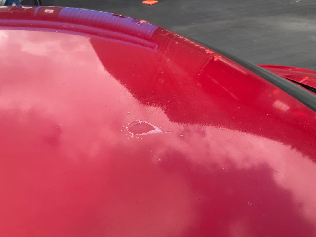 Photo '19' of Volkswagen Golf TS1