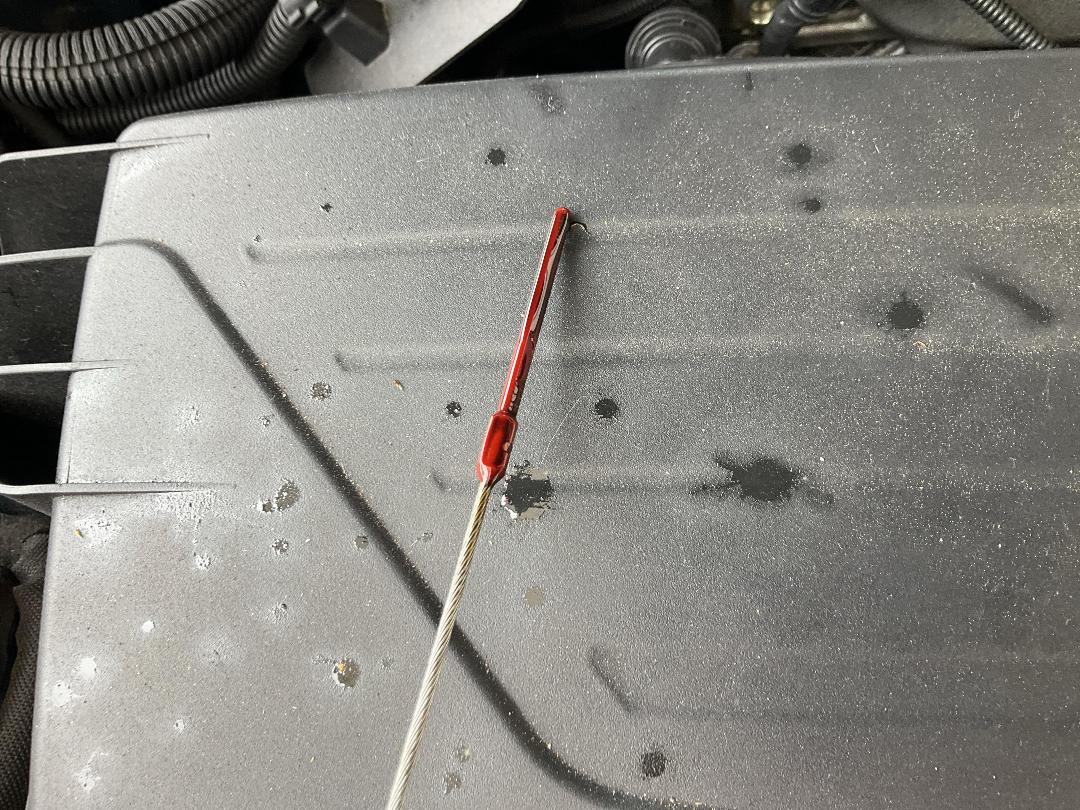 Photo '11' of BMW 116I Photo '11' of BMW 116I