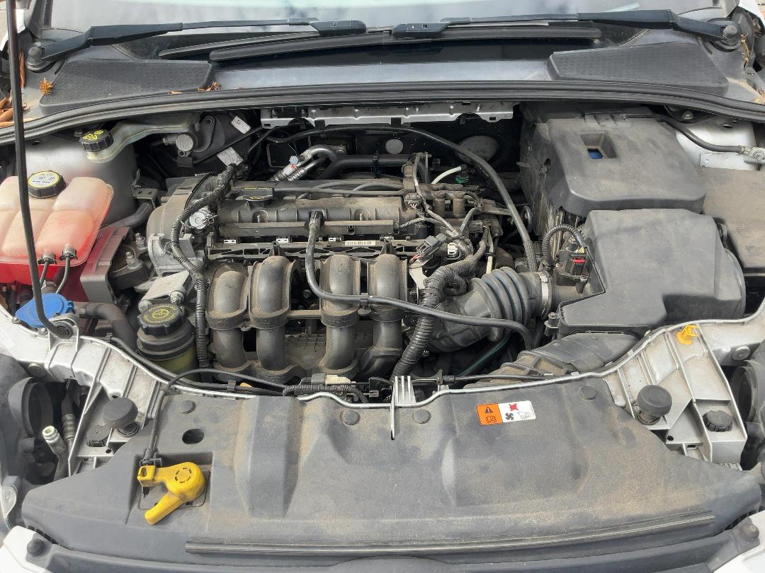 Photo '8' of Ford Focus Ambiente W