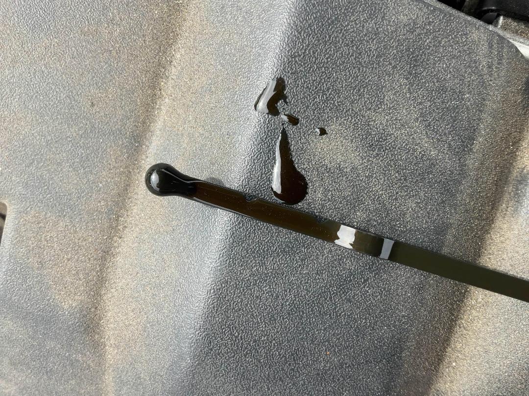 Photo '10' of Ford Focus Ambiente W