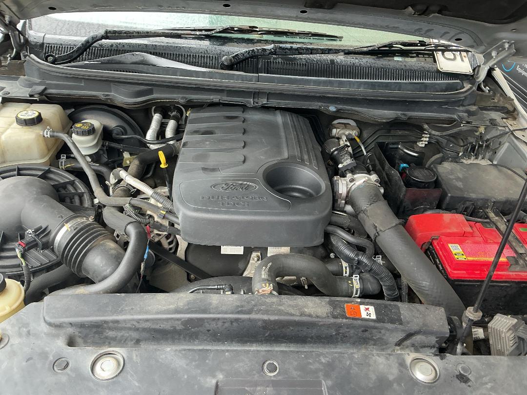 Photo '17' of Ford Ranger TD XLT DC W/S