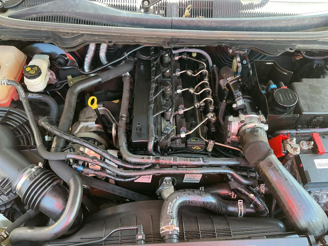 Photo '10' of Ford Ranger TD XLT DC W/SA