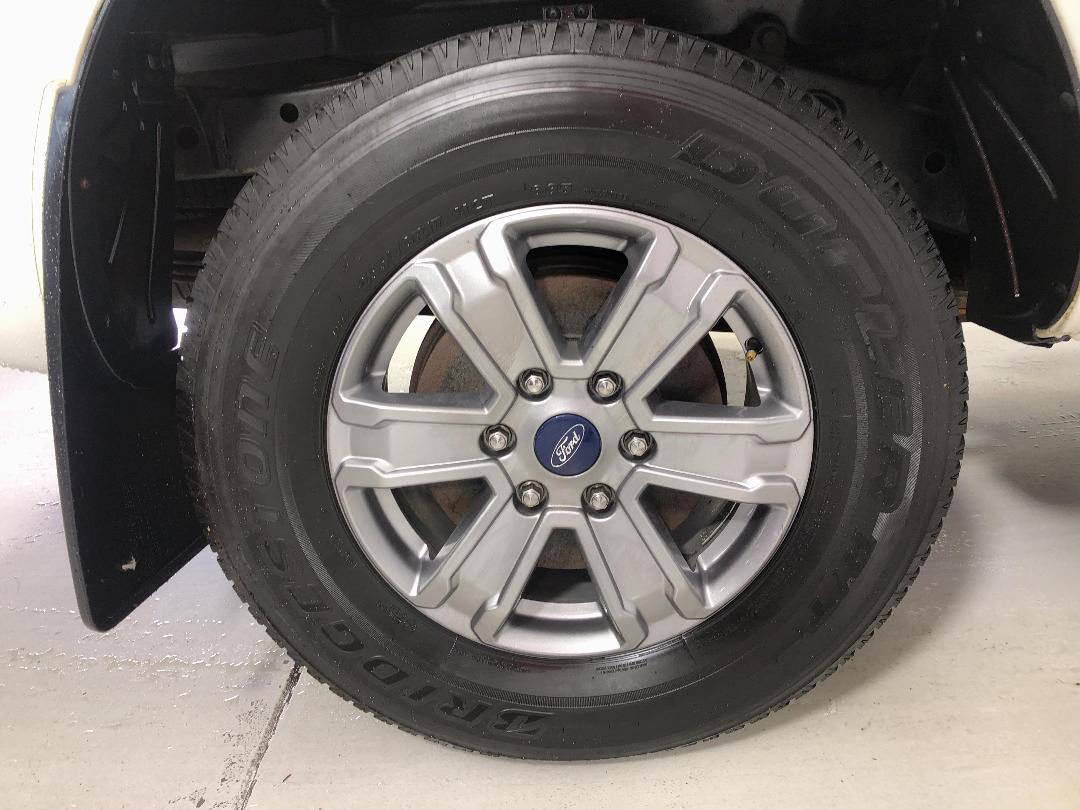 Photo '12' of Ford Ranger