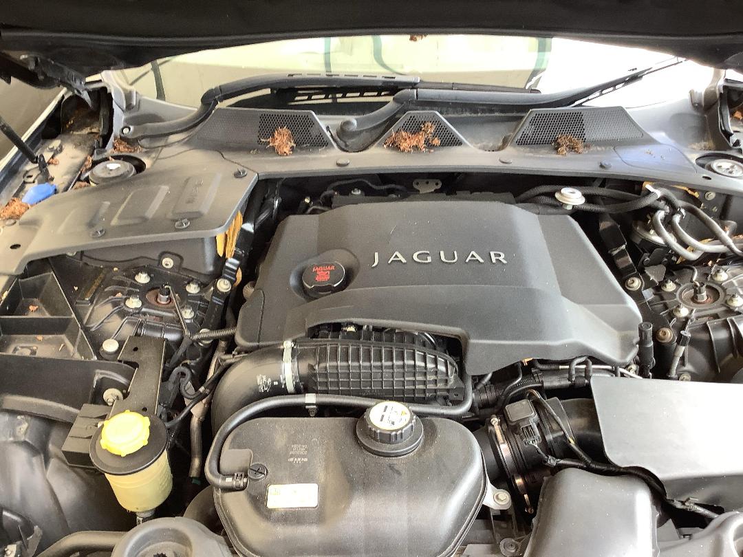 Photo '9' of Jaguar XJ L Photo '9' of Jaguar XJ L