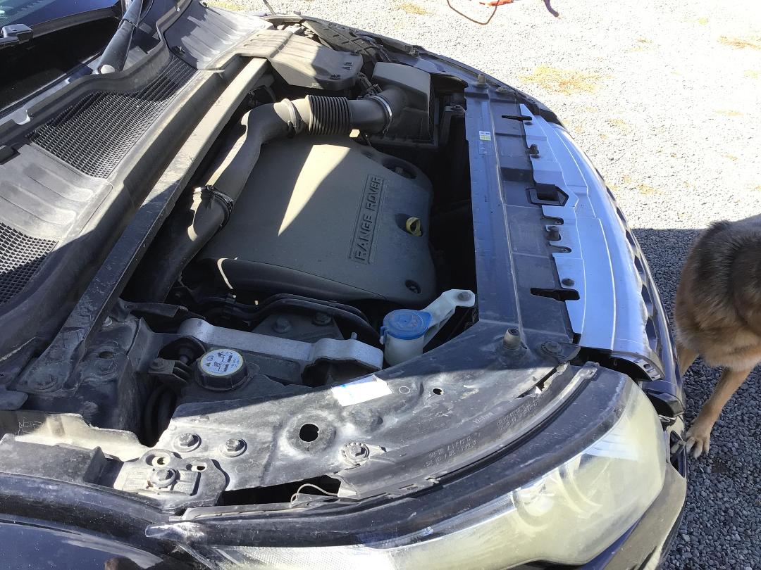 Photo '13' of Land Rover Range Rover Evoque SD4 Prestige