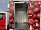 Thumbnail '24' of Mitsubishi Canter Chiller Thumbnail '24' of Mitsubishi Canter Chiller
