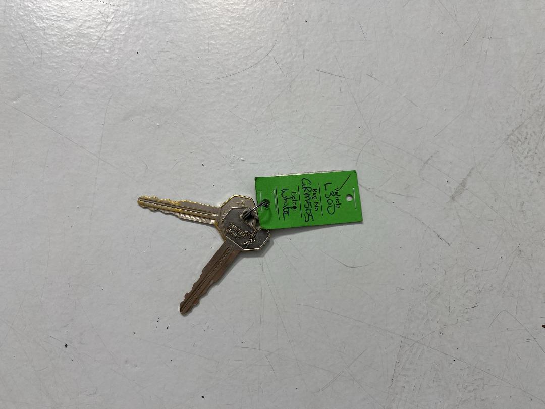 Photo '21' of Mitsubishi L300