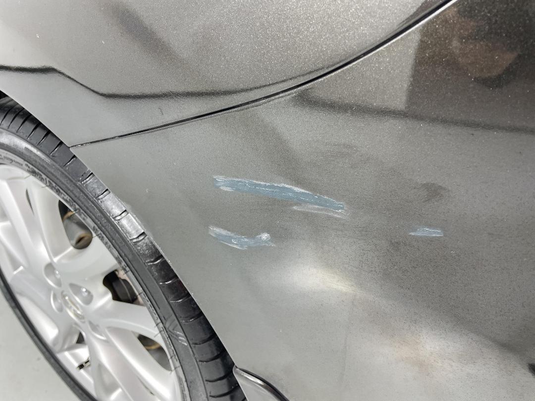 Photo '28' of Nissan Lafesta