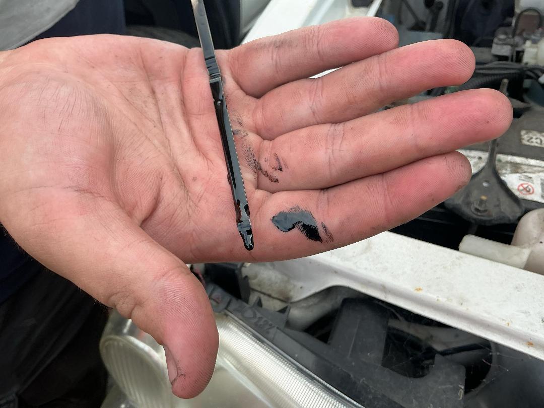 Photo '28' of Nissan Navara DX S/C