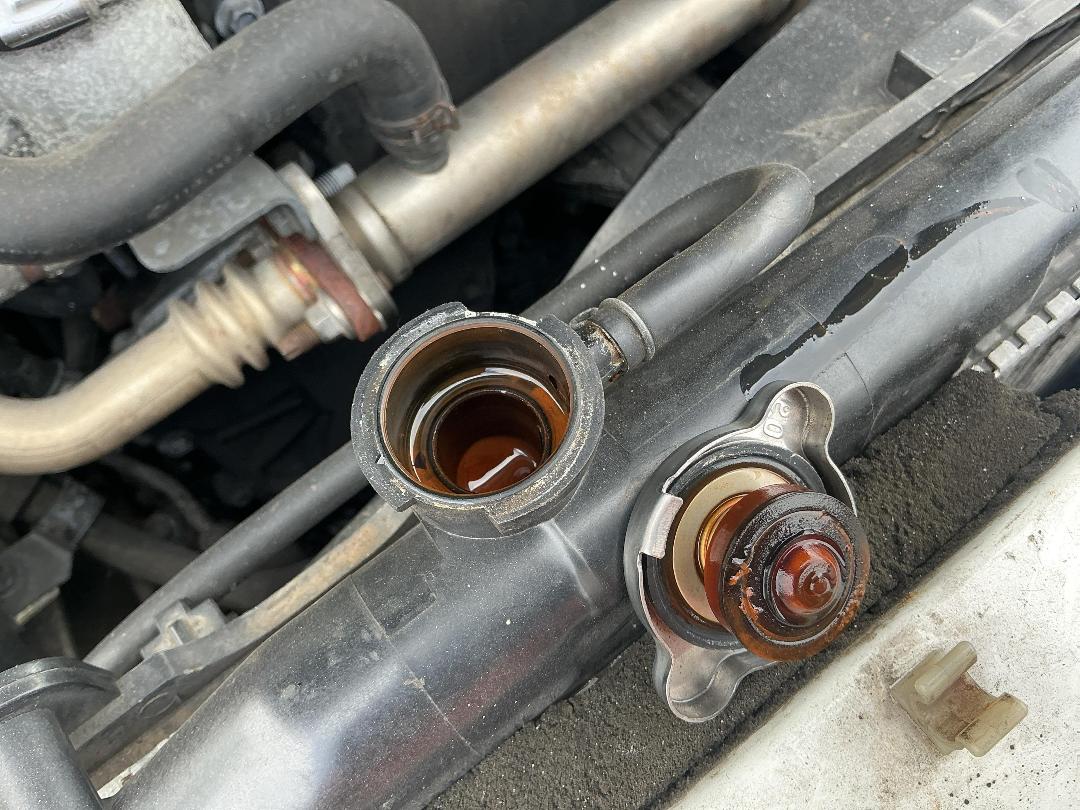 Photo '27' of Nissan Navara DX S/C