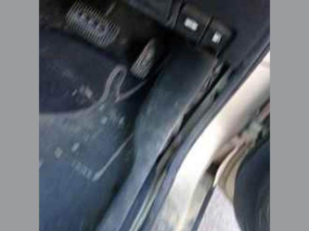 Photo '13' of Nissan Tiida ST