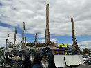 Thumbnail '5' of PATCHELL 4SH MB Logger Trailer Full