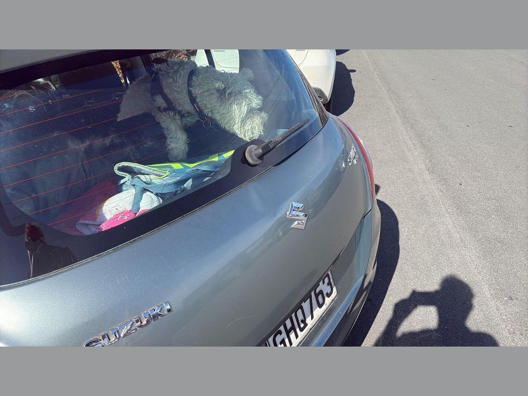 Photo '9' of Suzuki Swift RS